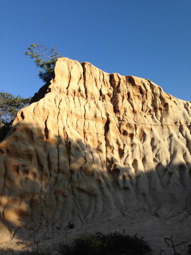 Torrey Sandstone