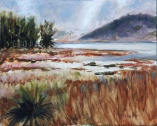 Batiquitos Clearing, San Diego plein air painting by artist Ronald Lee Oliver.
